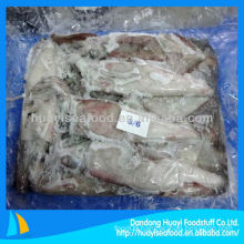 high quality frozen squid seafood